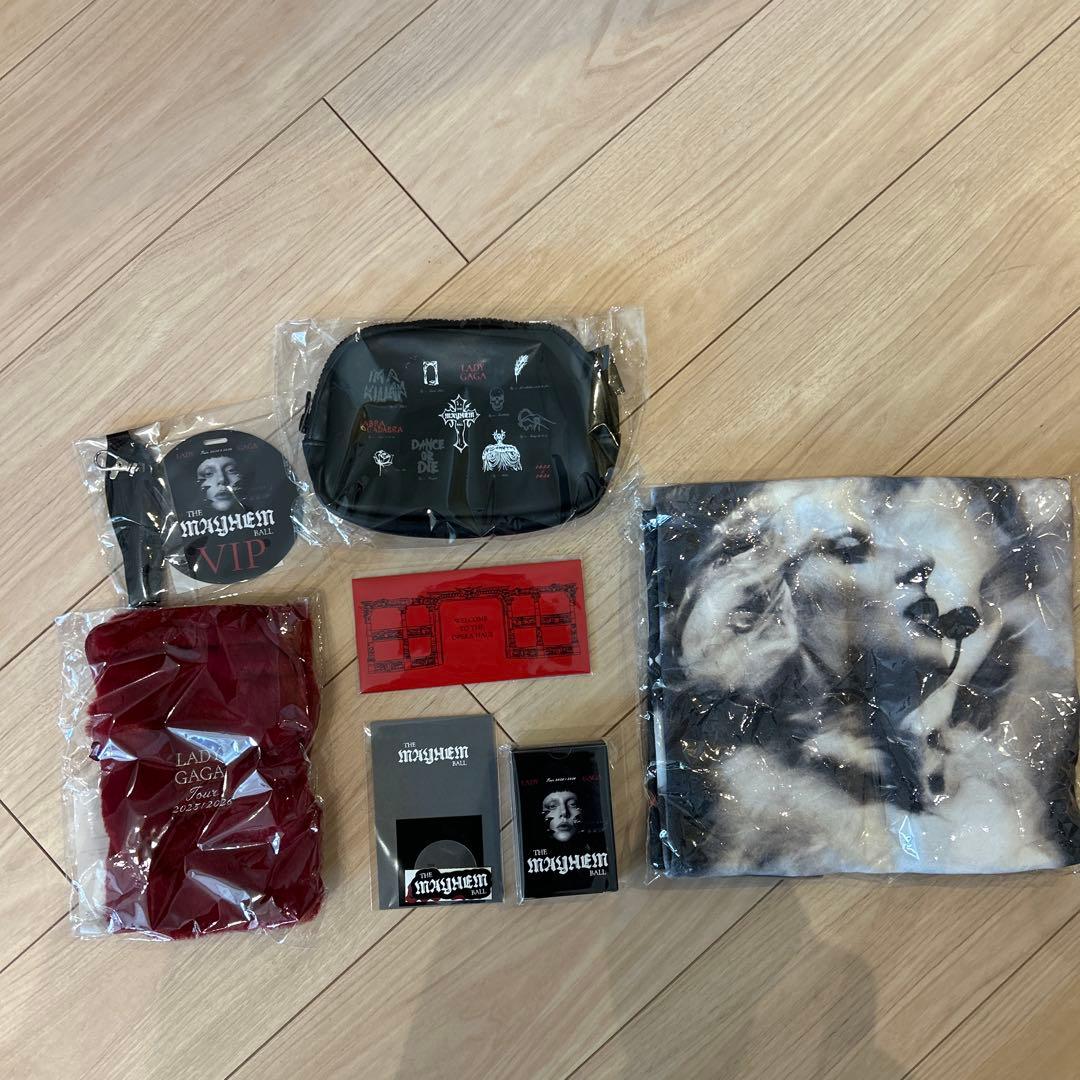 LADY GAGA VIP GOLD グッズ フルセット