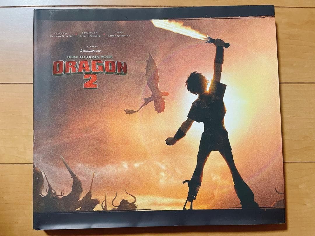 The Art of How to Train Your Dragon 2 洋書