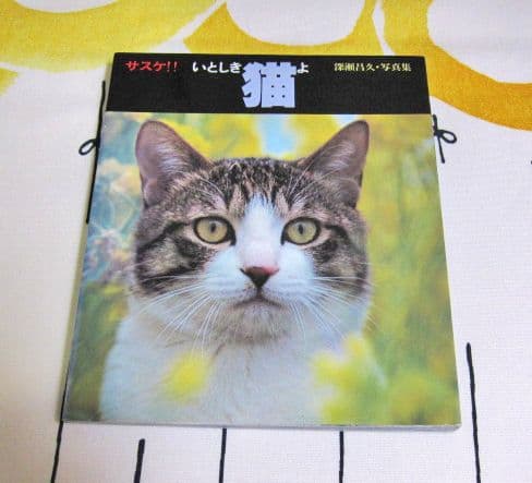 深瀬昌久写真集 サスケ! いとしき猫よ MASAHISA FUKASE