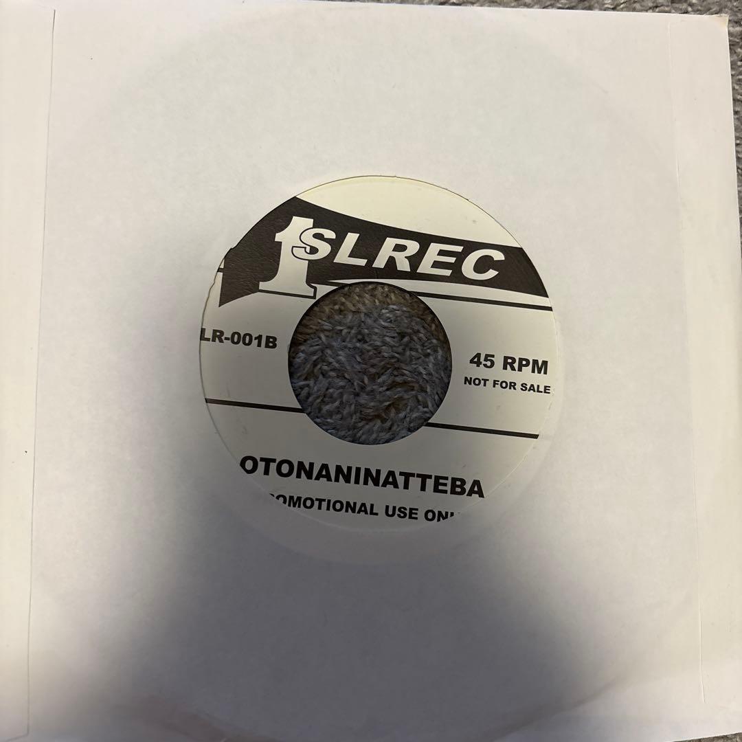 貴重盤　Rip Boom winkle 7inch THE BOOM 小沢健二