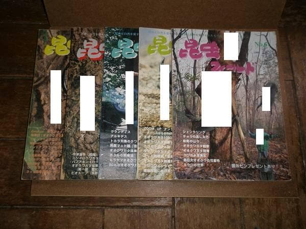 昆虫フィールド 16冊
