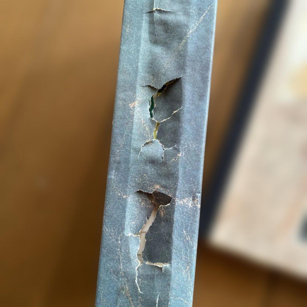 春光乍洩 / happy together /ブエノスアイレス 写真集