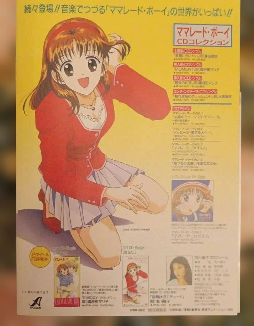 希少【メモリアルBOX】アニメ ママレード・ボーイ アニバーサリー DVDBOX